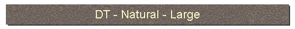 DT - Natural - Large